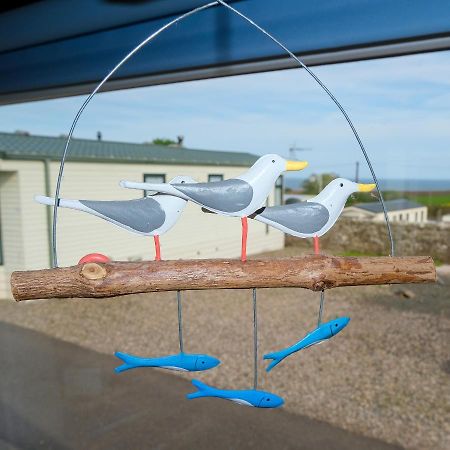 Kittiwake Apartment Saint Cyrus Luaran gambar