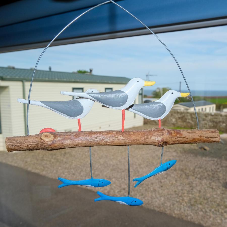 Kittiwake Apartment Saint Cyrus Luaran gambar